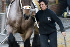 Boerepaard achterp