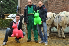Boekje 2012  Koeien 1