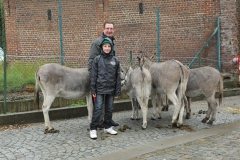 Boekje 2012  Pony 2o