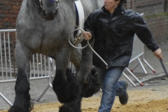 Boekje 2012 boerepaard p 1