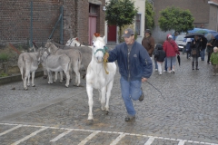 Kaft 2012
