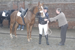 Paarden 2012  1 jpg