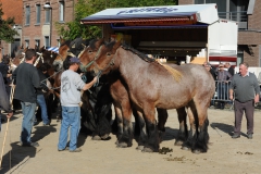 Jaarmarkt 2013  BP F 23