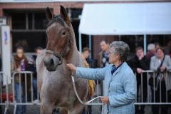 Jaarmarkt 2013  BP F10