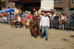 Jaarmarkt 2013  Pon F1