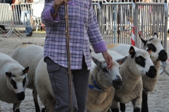 Jaarmarkt 2013 04