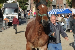 Jaarmarkt 2013 BP 12