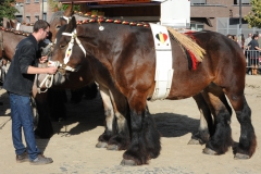 Jaarmarkt 2013 BP F20