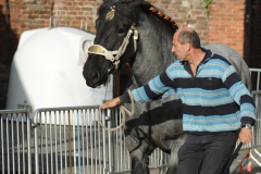Jaarmarkt 2013 BP2