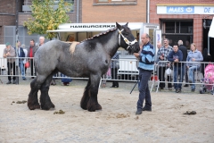 Jarenmarkt 2013  BP 1