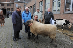 Jaarmarkt 2014