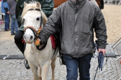 Jaarmarkt 2014 F15