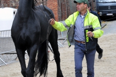 Jaarmarkt 2014 F16