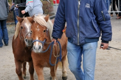 Jaarmarkt 2014 F19