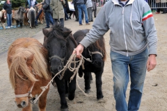 Jaarmarkt 2014 F20