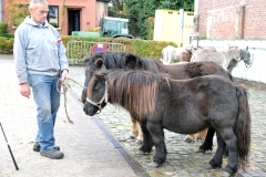 Jaarmarkt 2014 F21