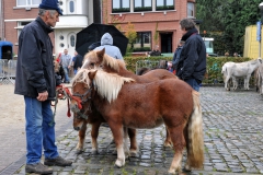 Jaarmarkt 2014 F23