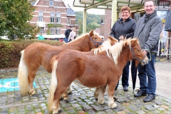 Jaarmarkt 2014 F24