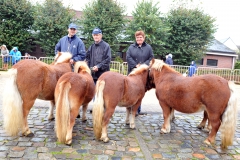 Jaarmarkt 2014 F25