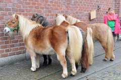 Jaarmarkt 2014 F28