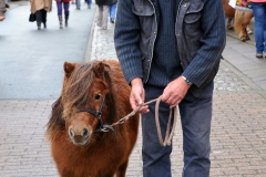 Jaarmarkt 2014 F29