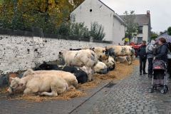 Jaarmarkt 2014 F3