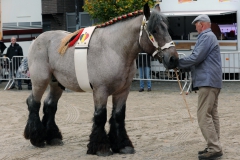 Jaarmarkt 2014 F37