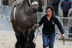 Jaarmarkt 2014 F37jpg
