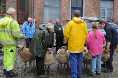 Jaarmarkt 2014 F39