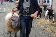 Jaarmarkt 2014 F41