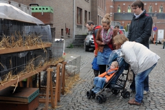 Jaarmarkt 2014 Foto 34jpg
